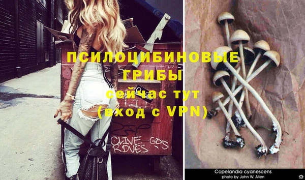 а пвп мука Беломорск