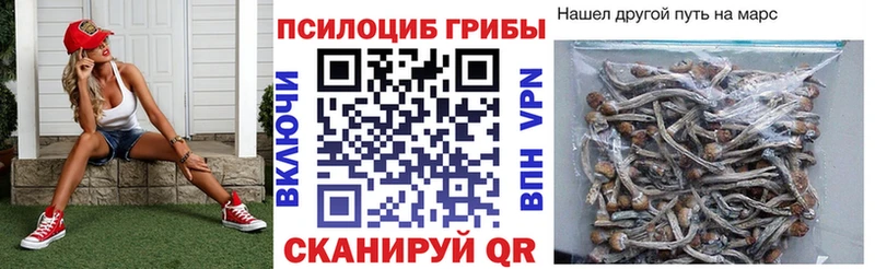 купить  сайты  Сковородино  Псилоцибиновые грибы ЛСД 